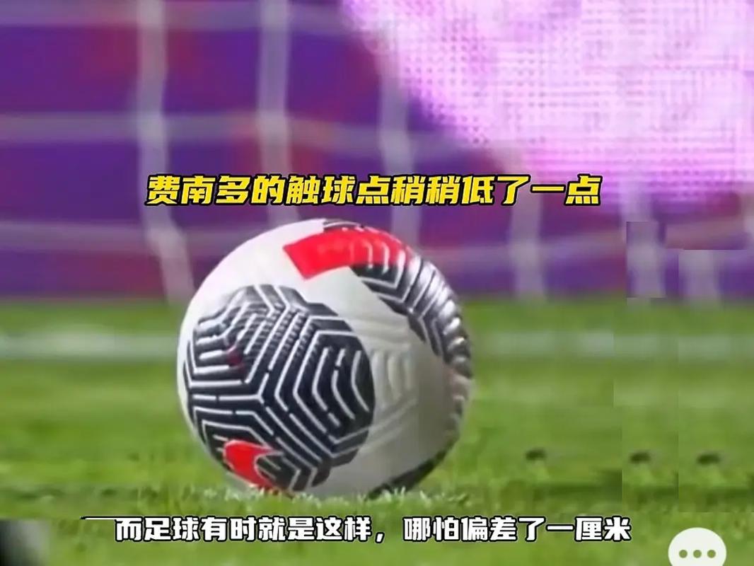 阳他也是多